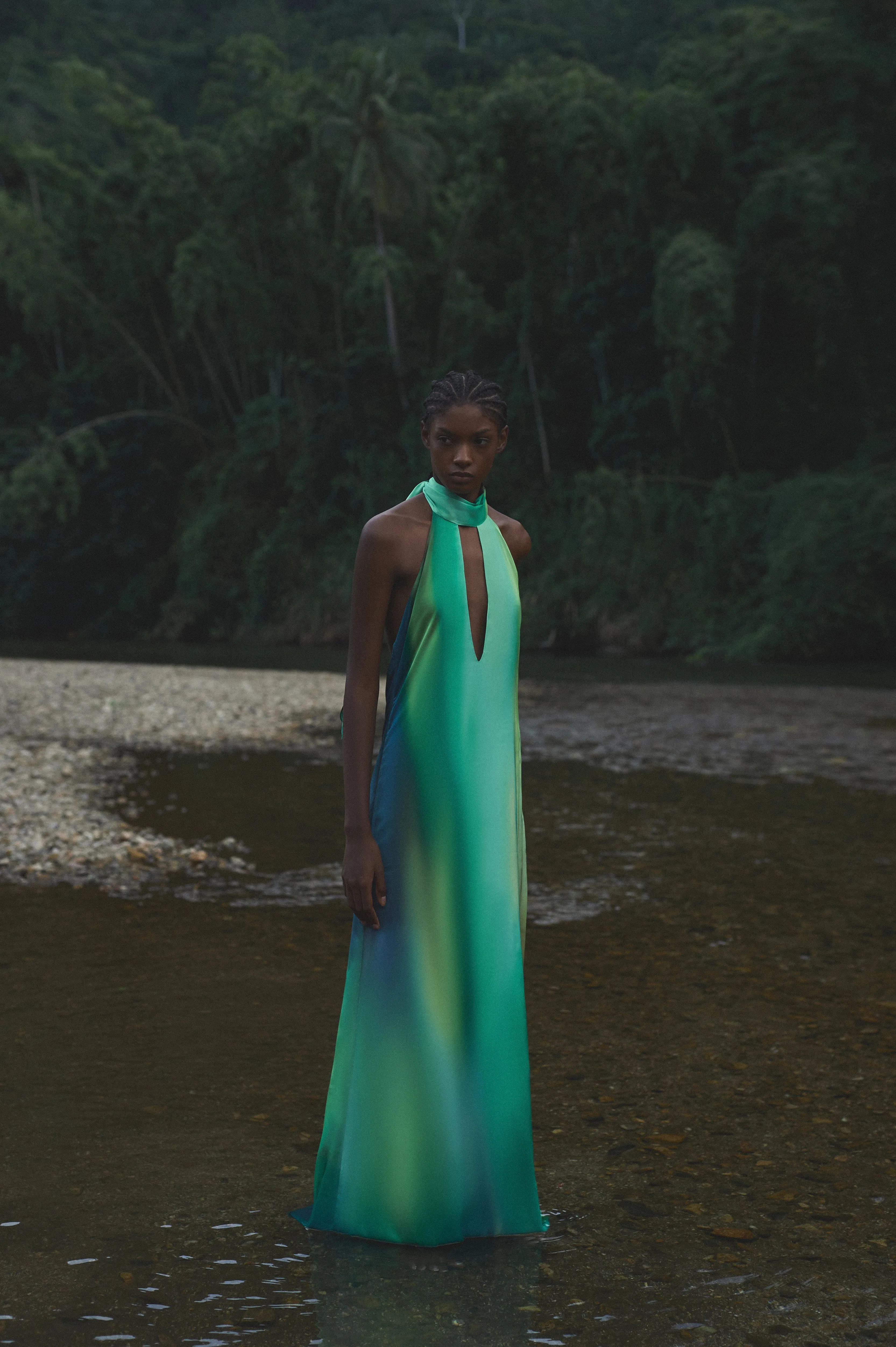 Magia Salvaje Dress