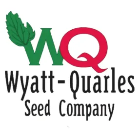 Wyatt-Quarles Seed Company Detroit Dark Red